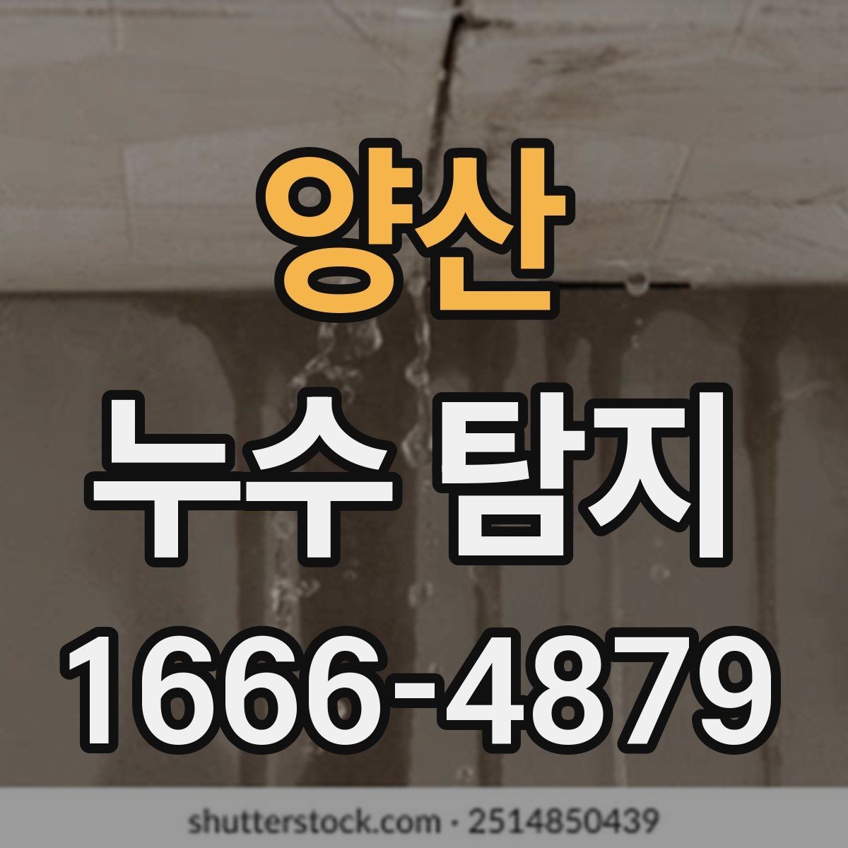 양산 누수 탐지 외부 원인과 내부 원인 구분하기
