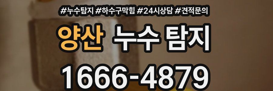 양산 누수 탐지