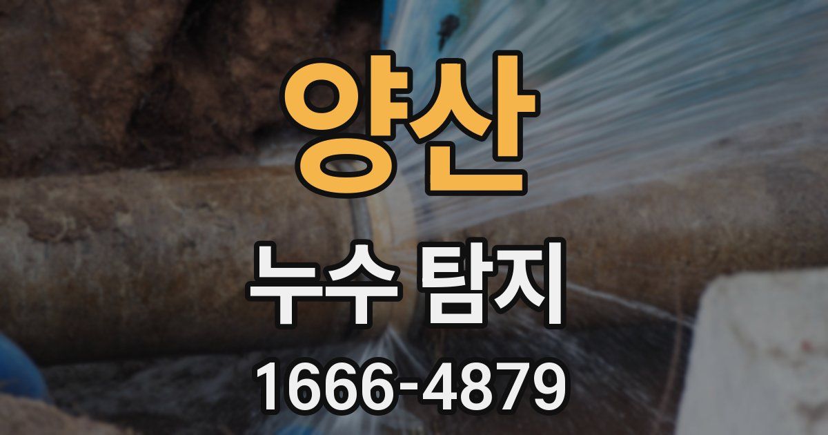 양산 누수 탐지