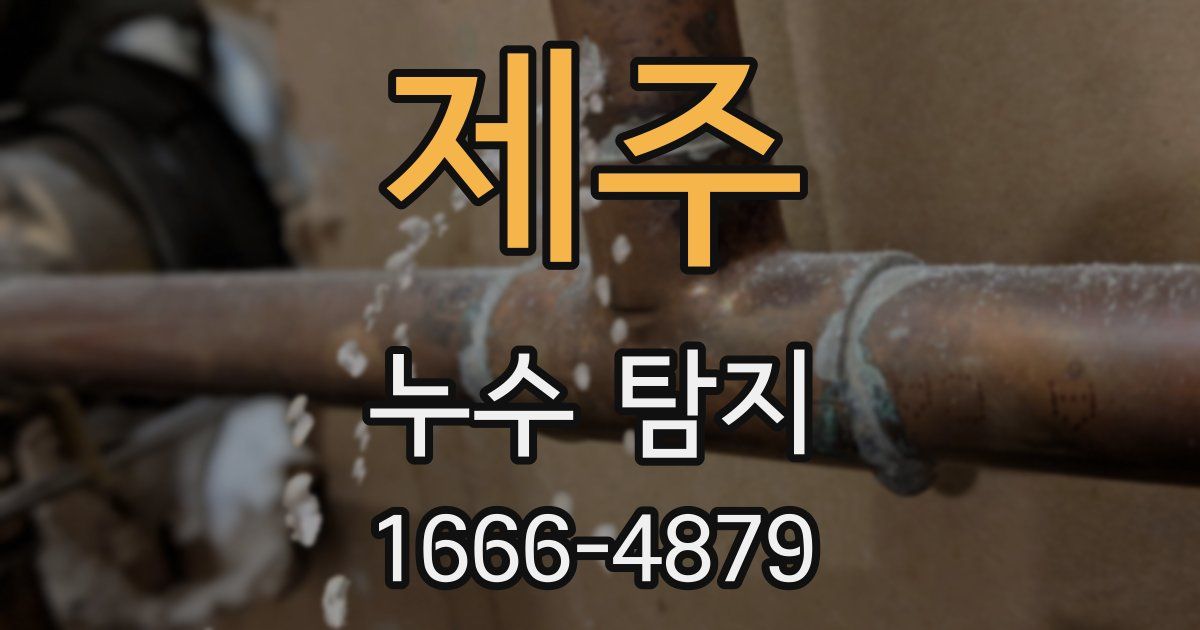 제주 누수 탐지