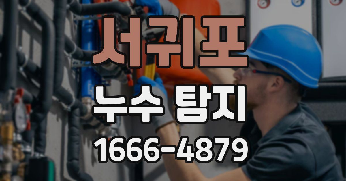 서귀포 누수 탐지