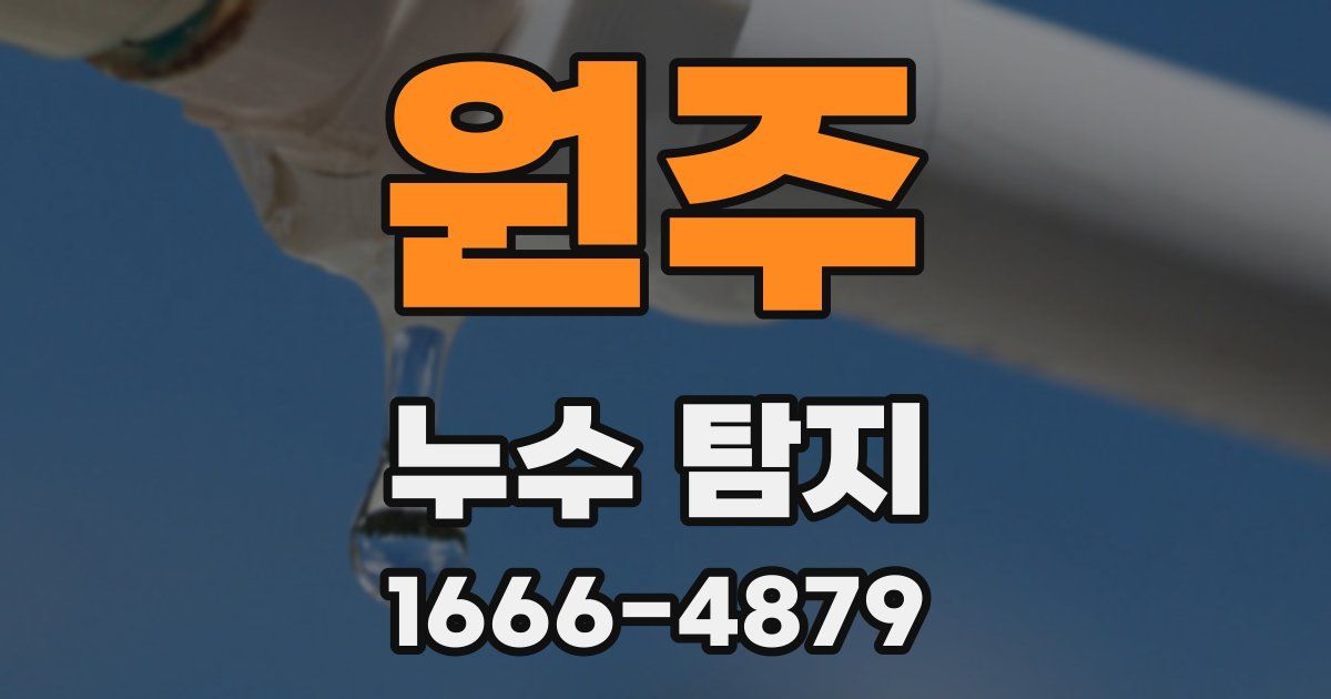 원주 누수 탐지