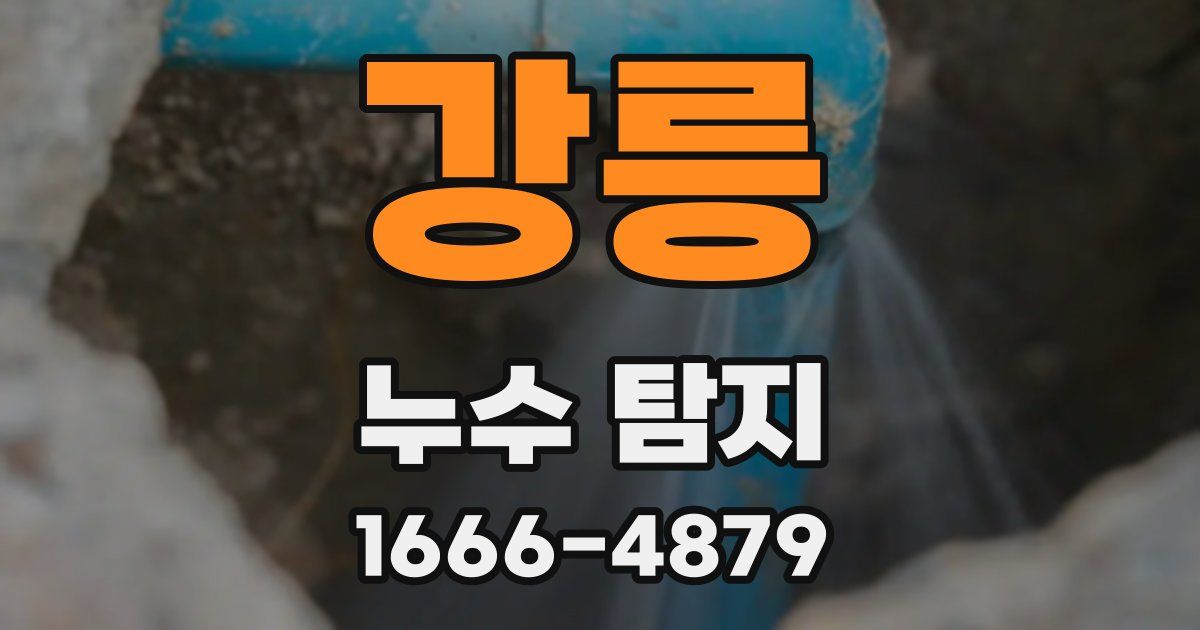 강릉 누수 탐지