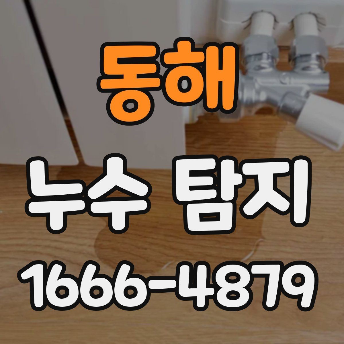 동해 누수 탐지 비용과 범위는 어떻게 정해질까