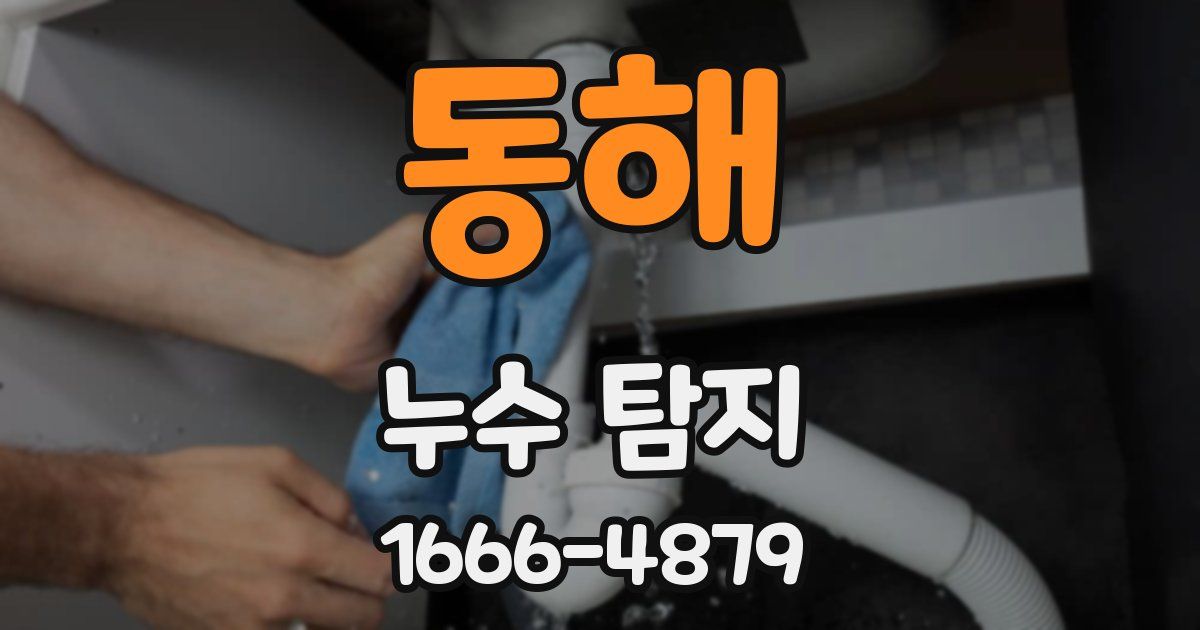 동해 누수 탐지
