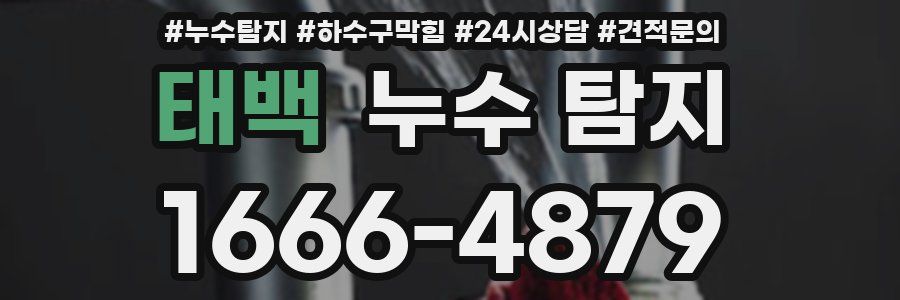 태백 누수 탐지