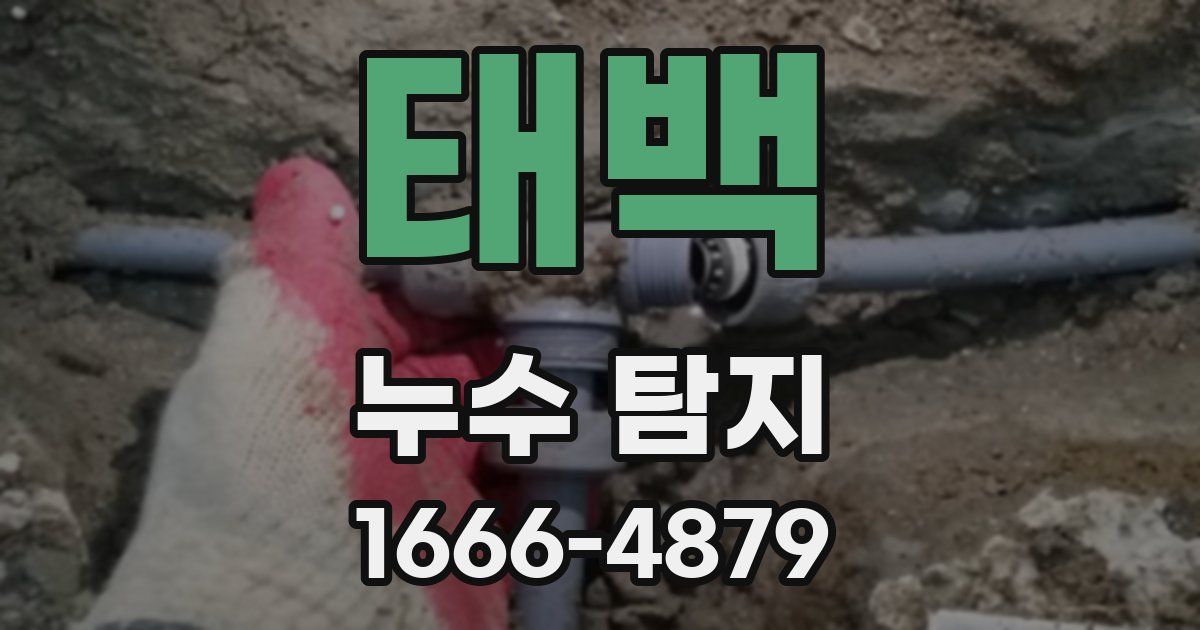 태백 누수 탐지