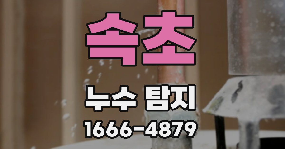 속초 누수 탐지