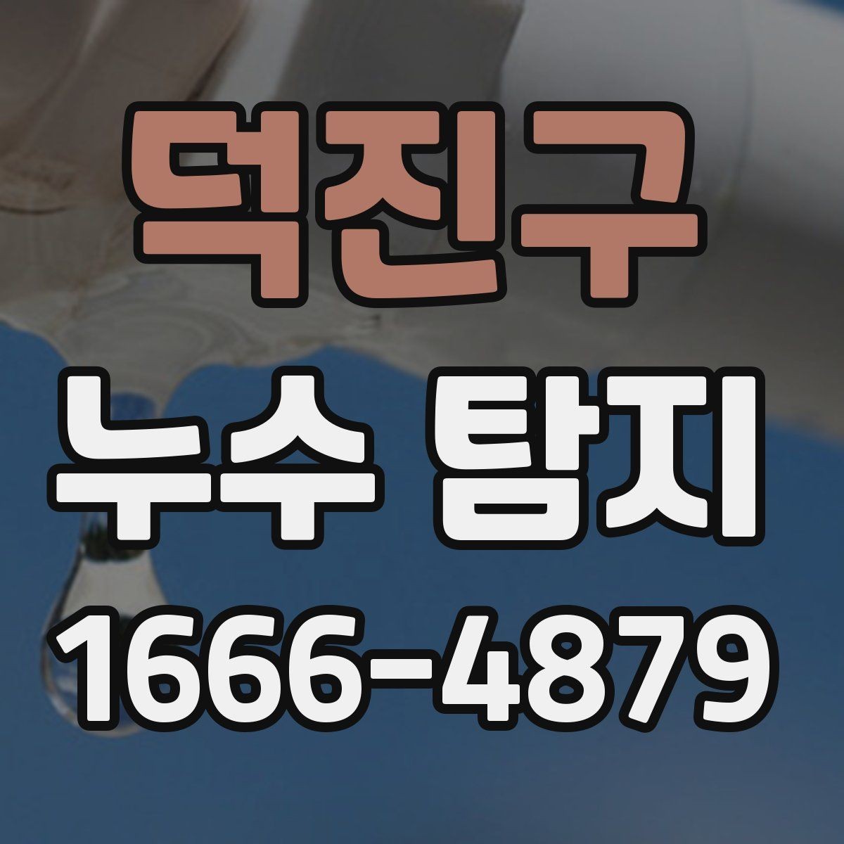 덕진구 누수 탐지 전문가 상담이 필요한 순간