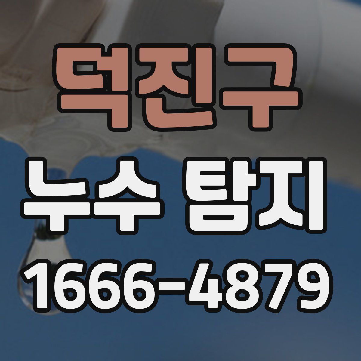 덕진구 누수 탐지