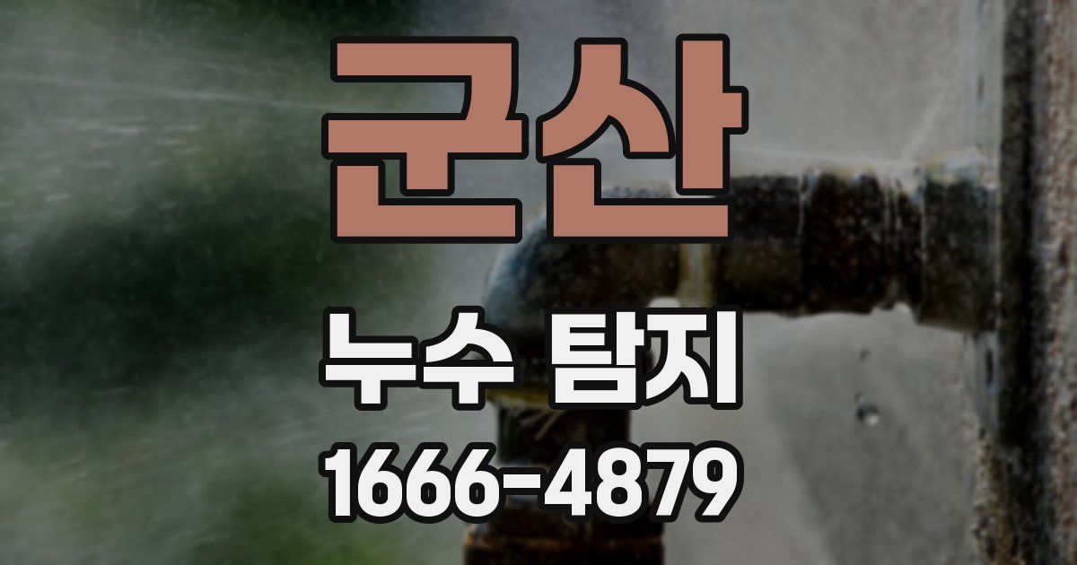군산 누수 탐지