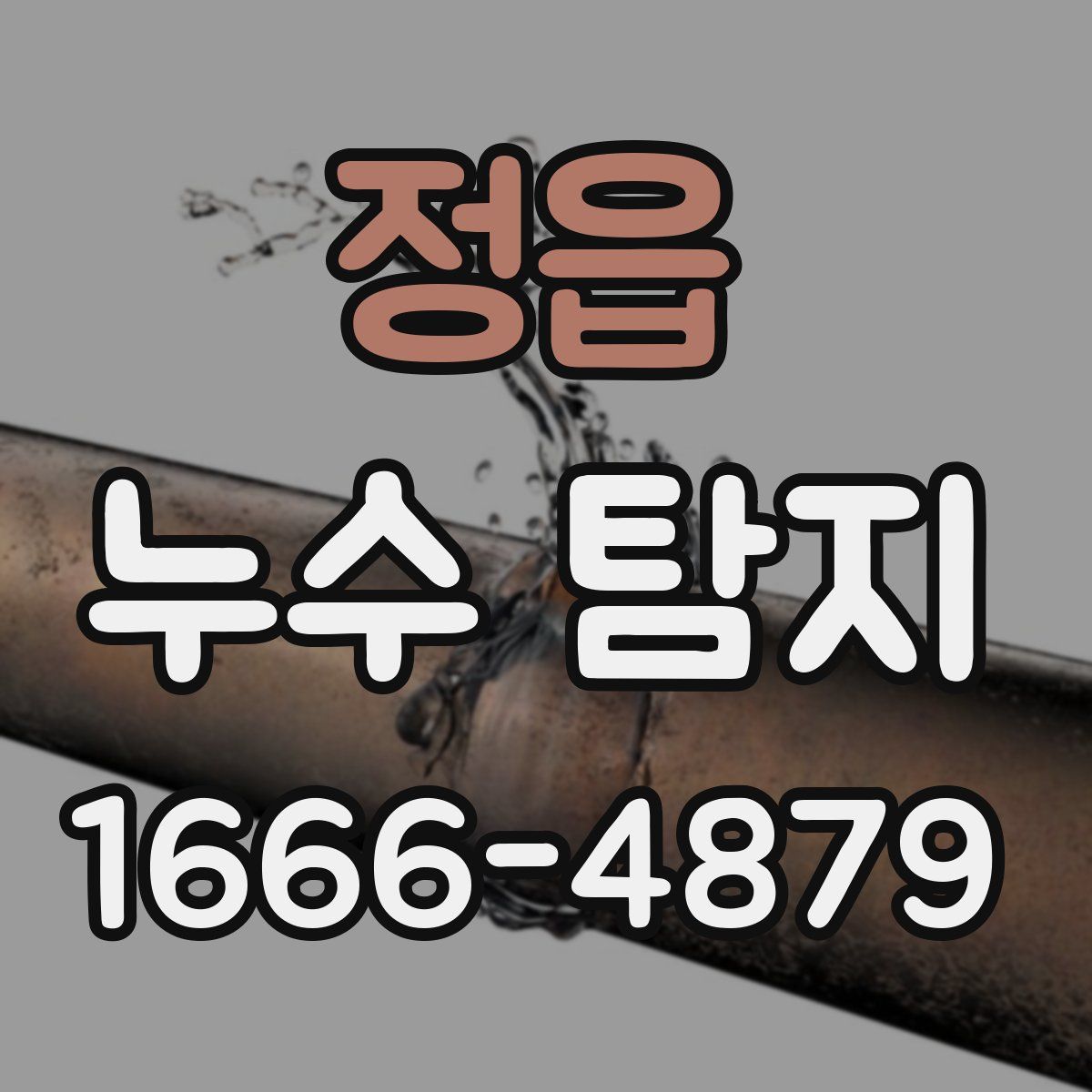 정읍 누수 탐지