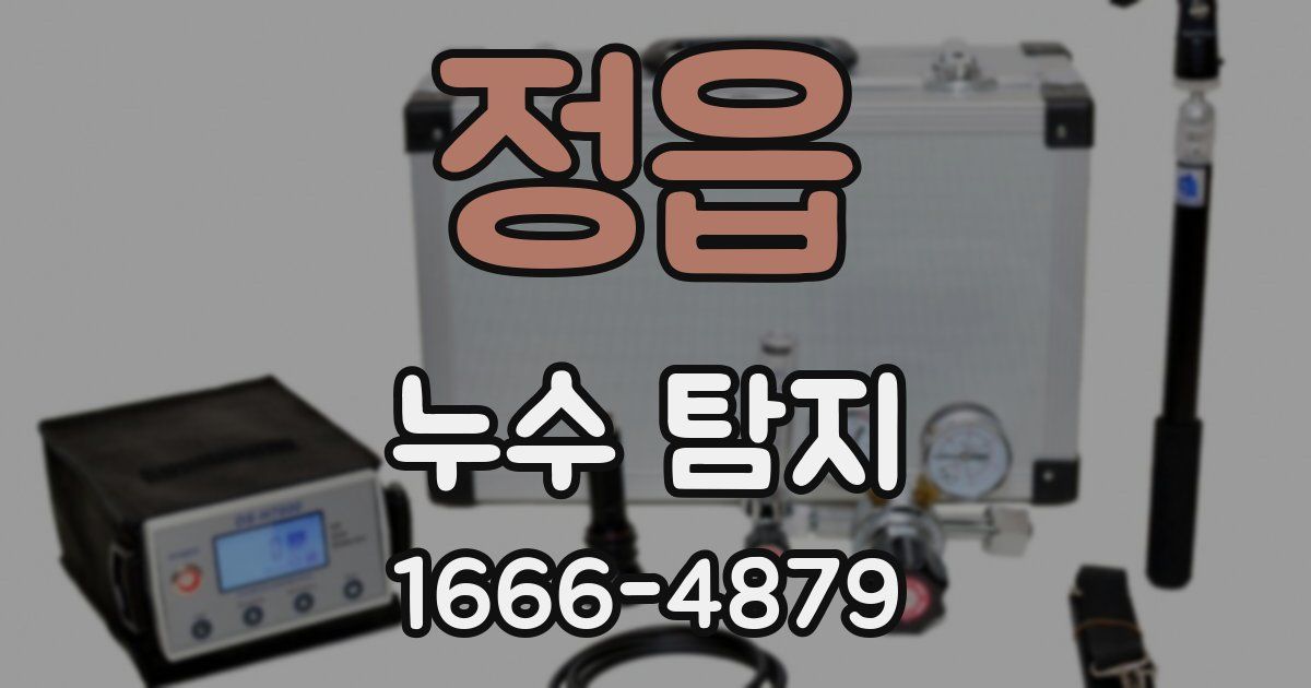 정읍 누수 탐지