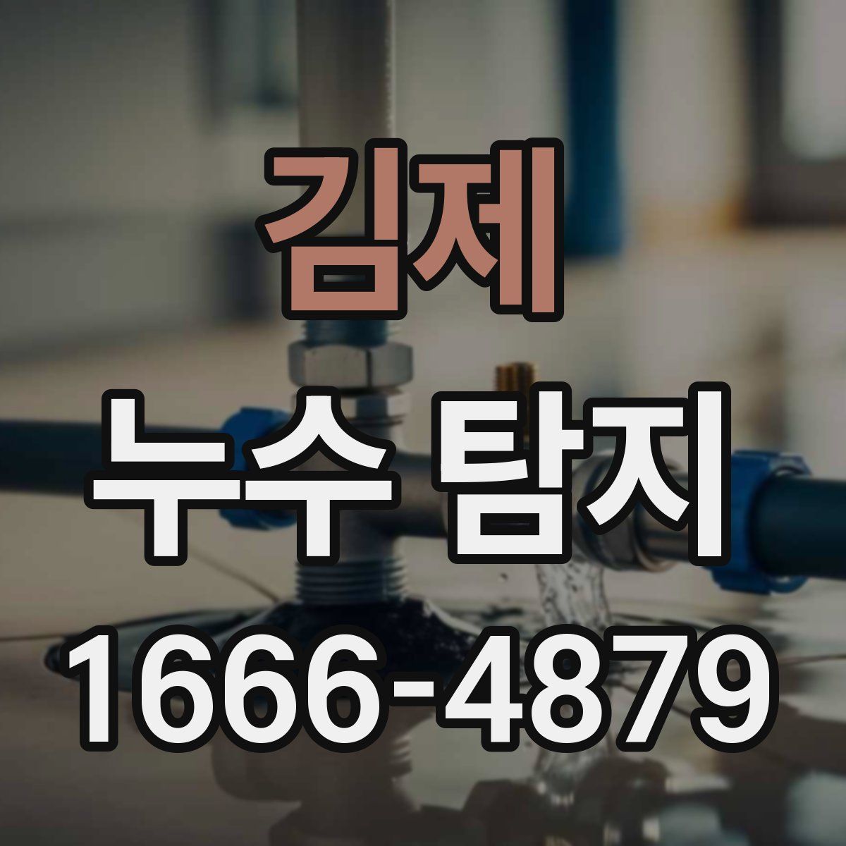김제 누수 탐지