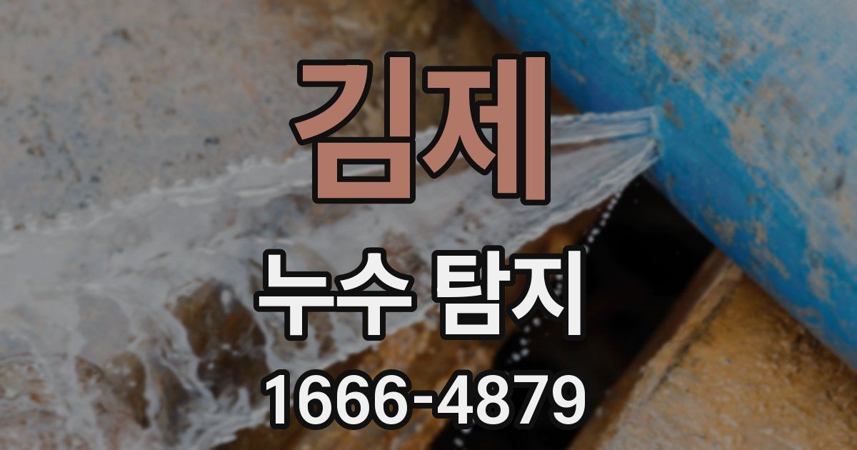 김제 누수 탐지