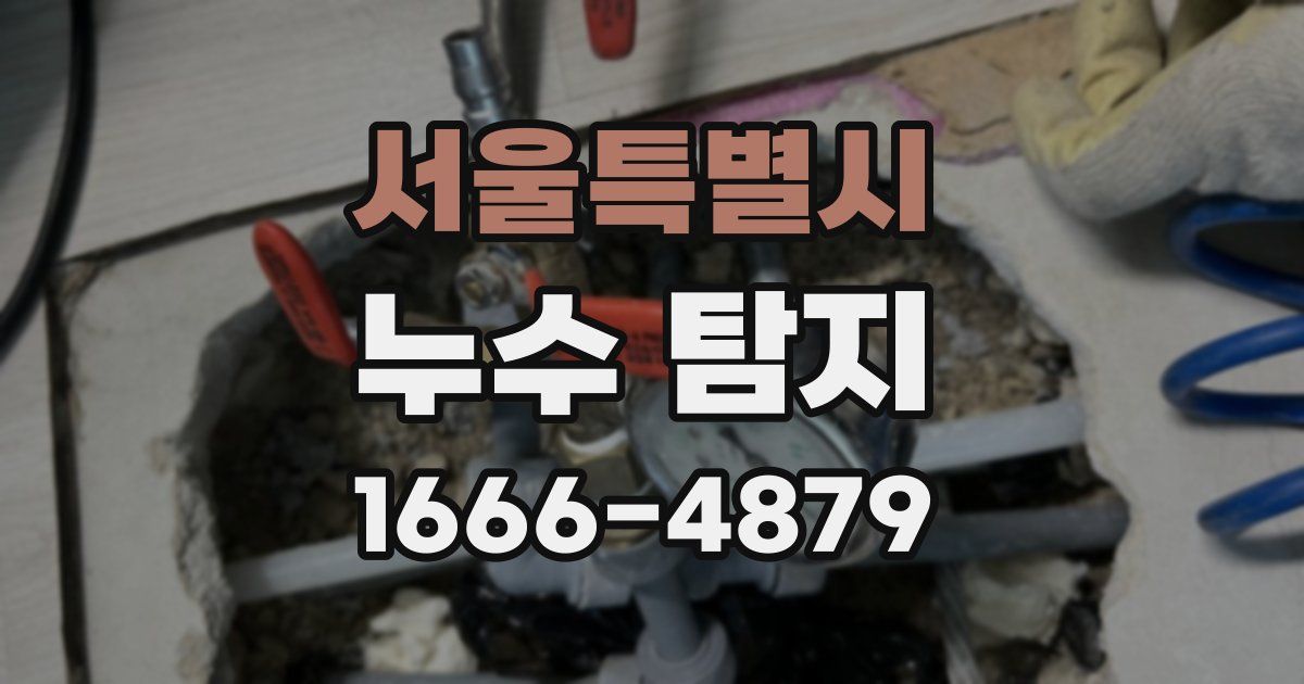 서울특별시 누수 탐지