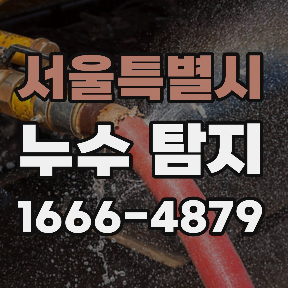 서울특별시 누수 탐지