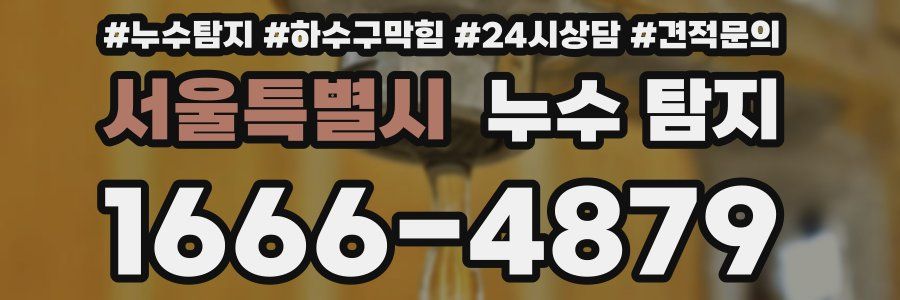 서울특별시 누수 탐지