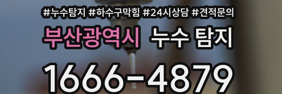 부산광역시 누수 탐지