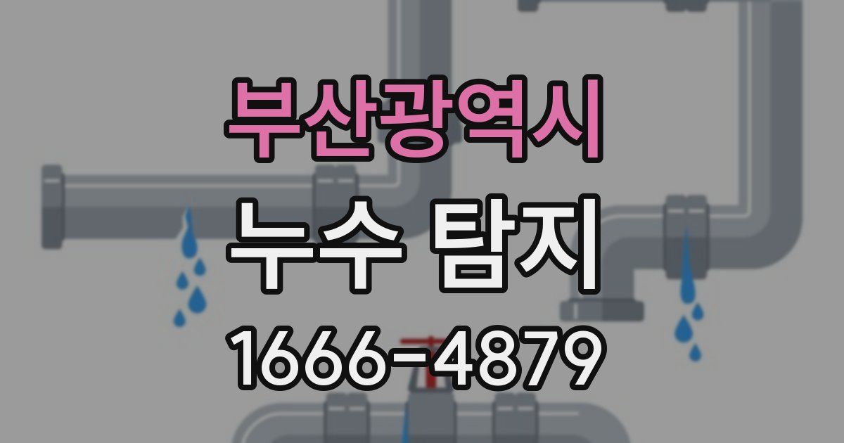 부산광역시 누수 탐지