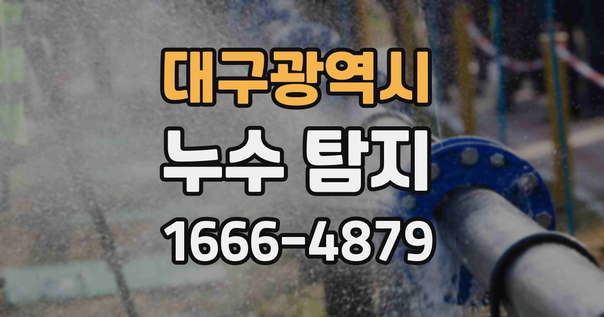대구광역시 누수 탐지