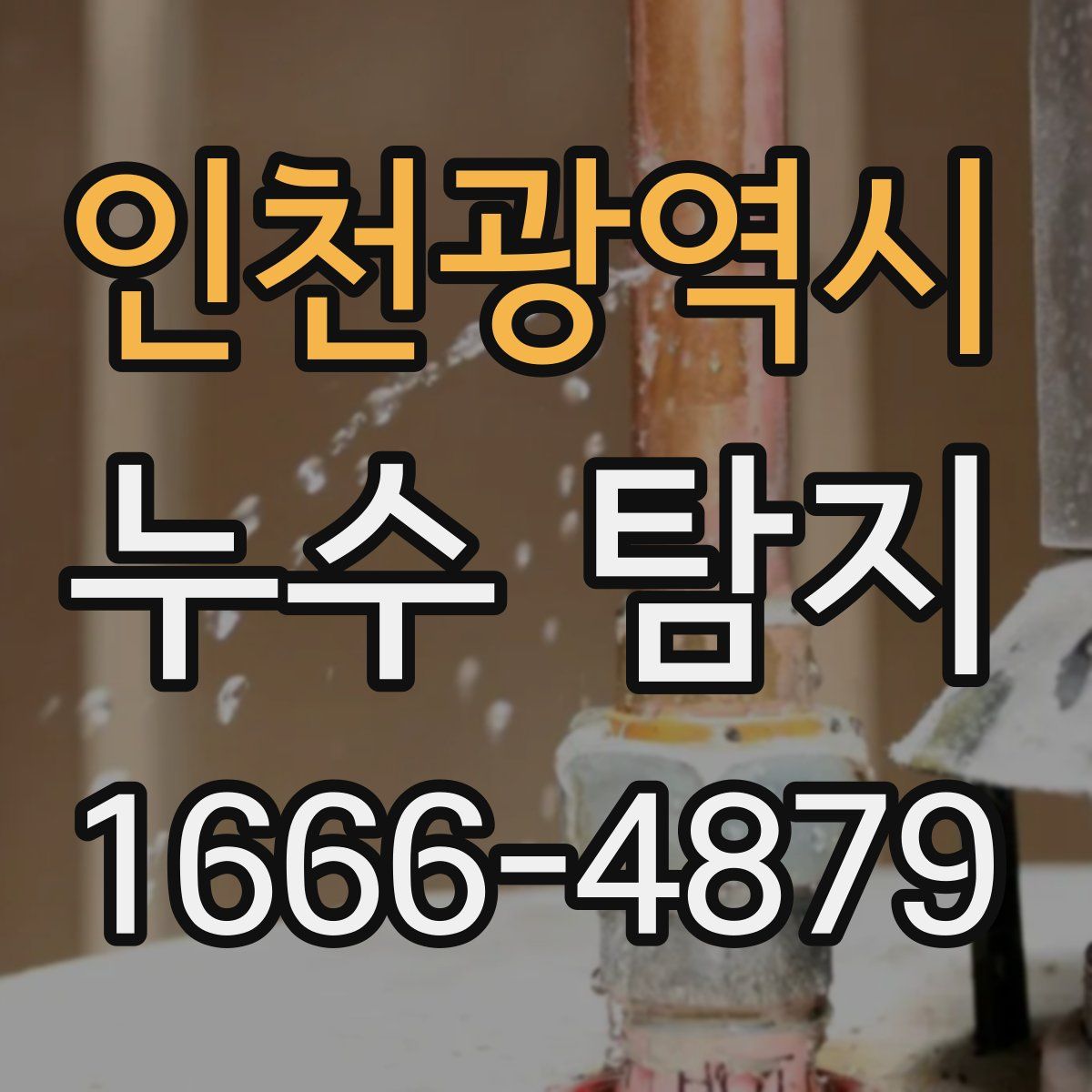 인천광역시 누수 탐지