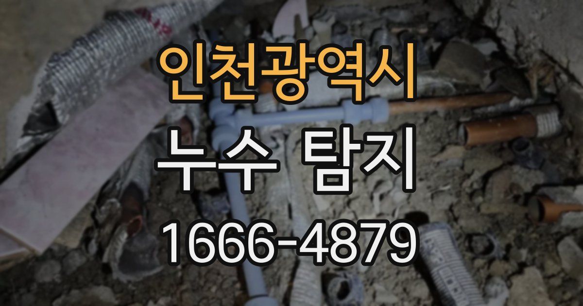 인천광역시 누수 탐지