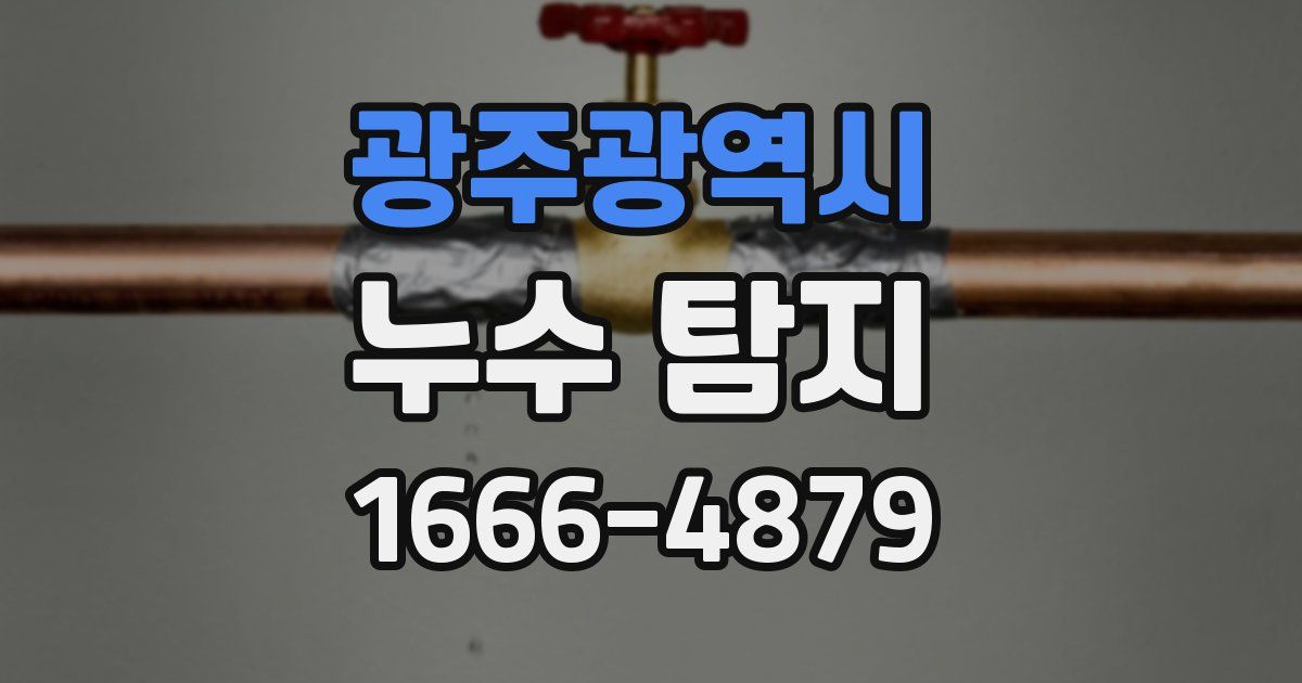 광주광역시 누수 탐지