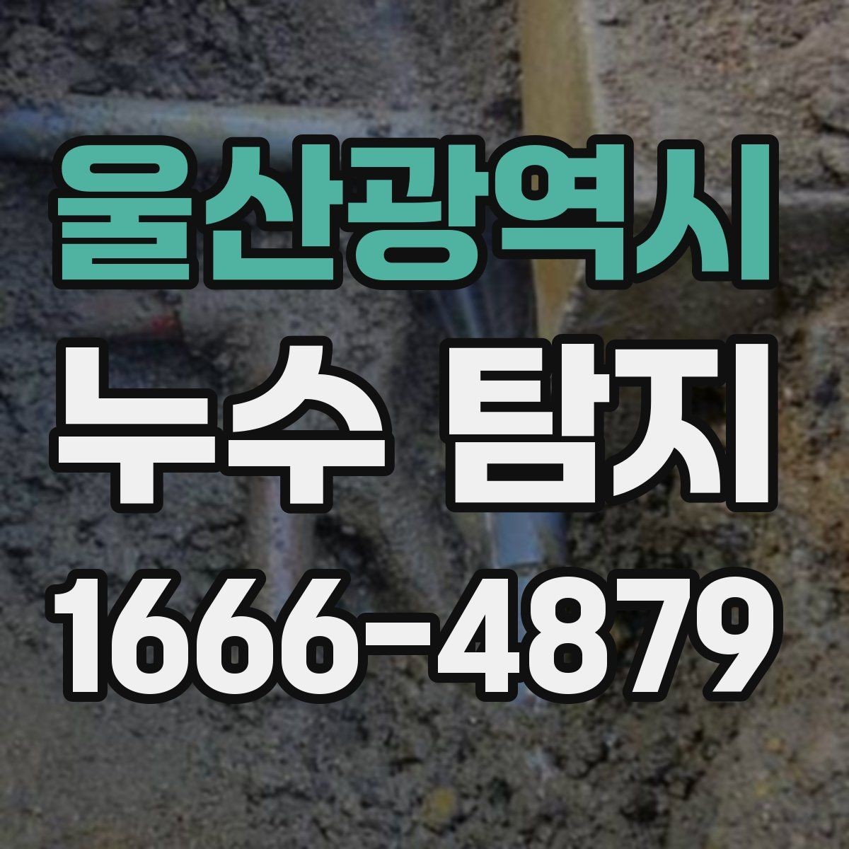 울산광역시 누수 탐지 경험담에서 자주 나오는 공통점