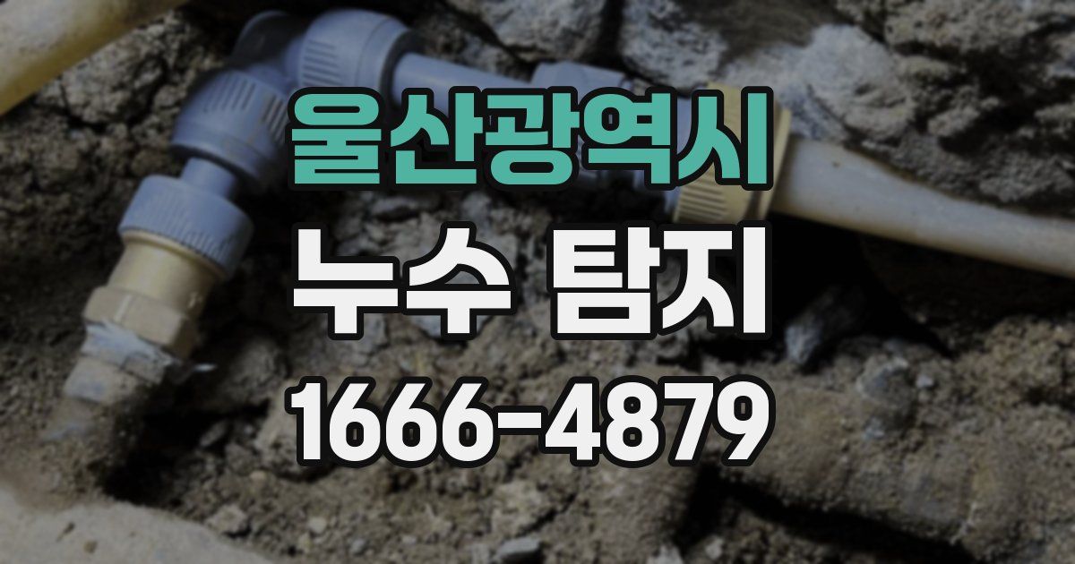 울산광역시 누수 탐지