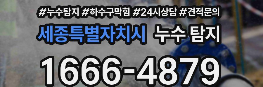 세종특별자치시 누수 탐지