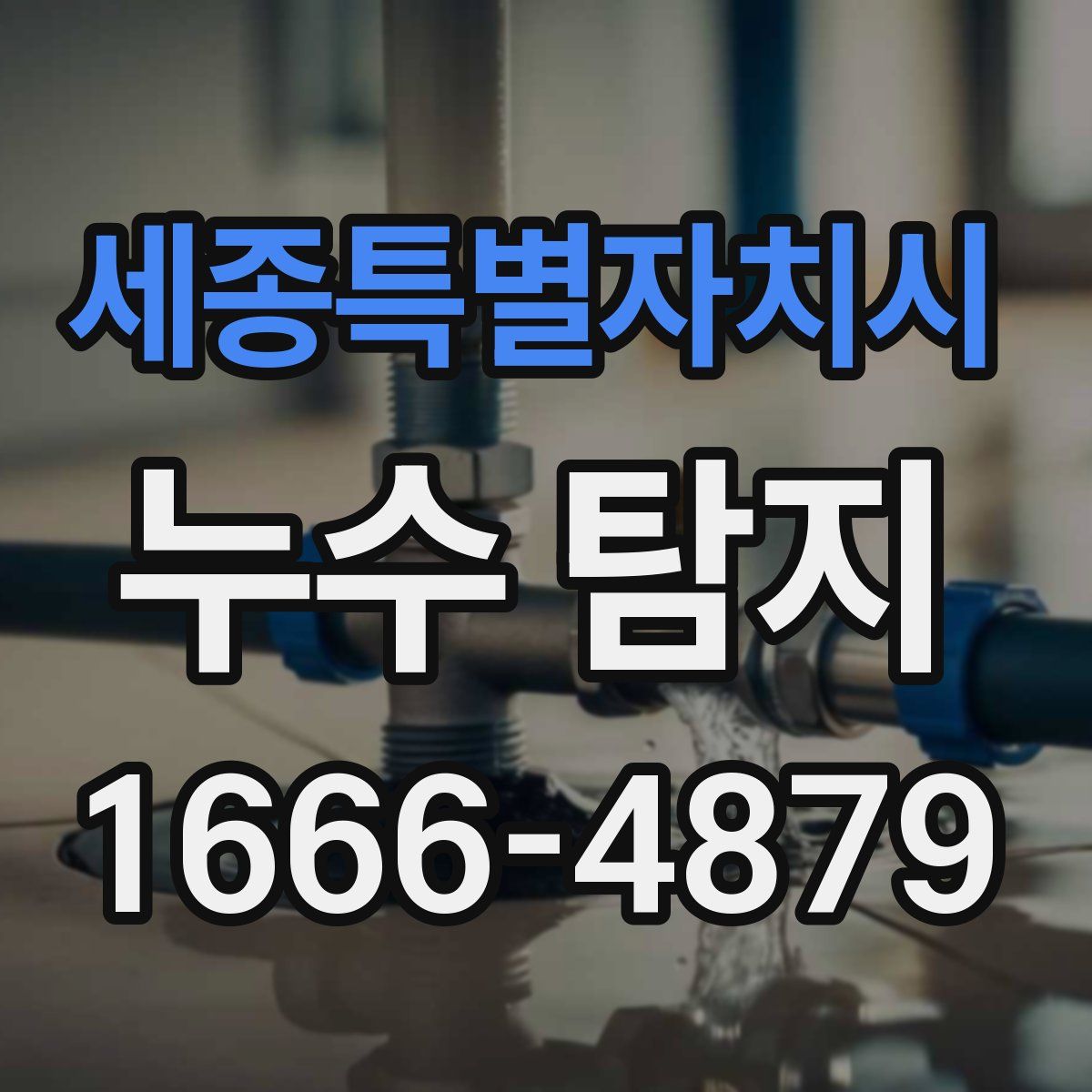 세종특별자치시 누수 탐지