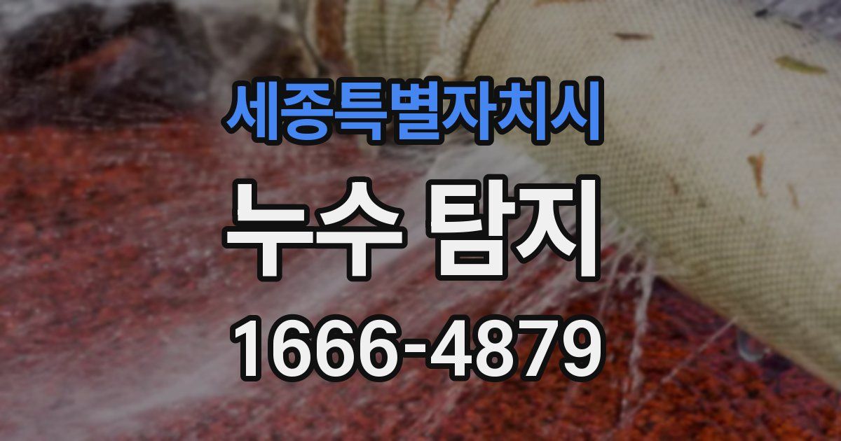 세종특별자치시 누수 탐지