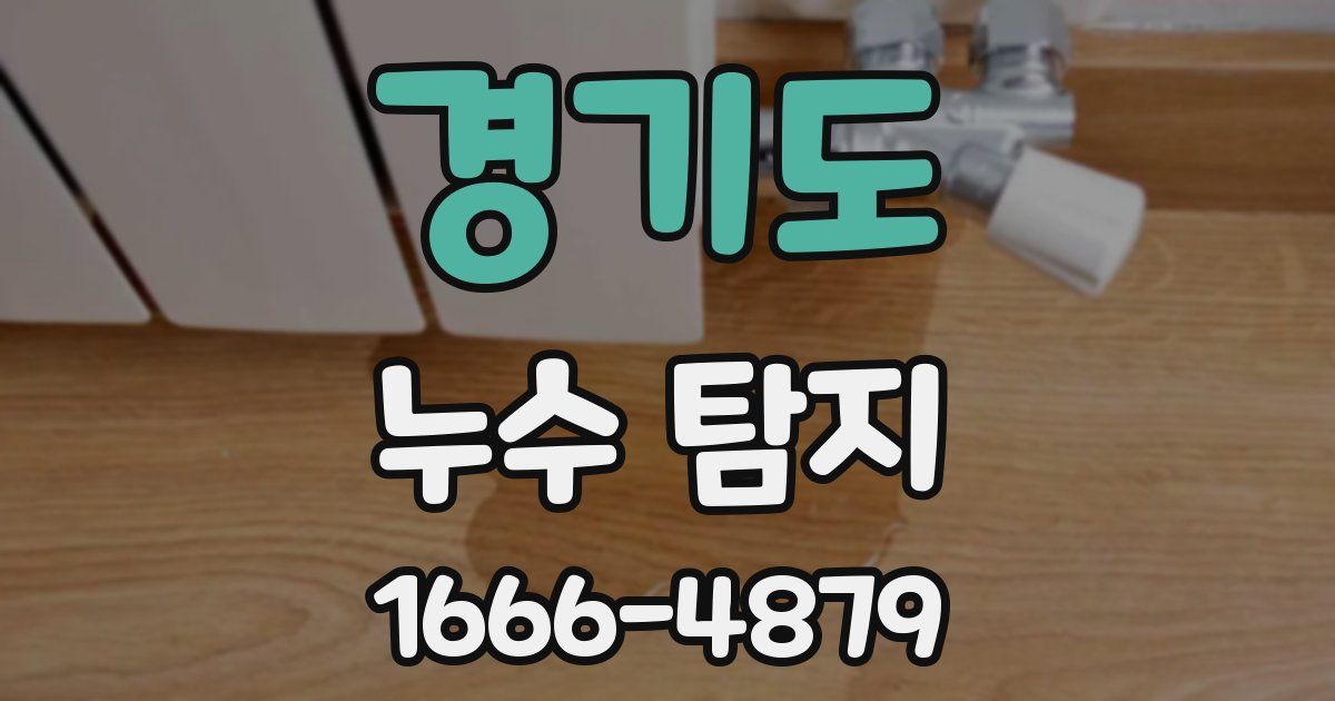 경기도 누수 탐지
