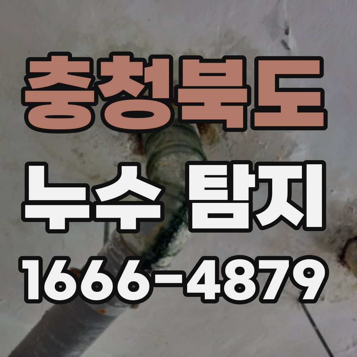 충청북도 누수 탐지