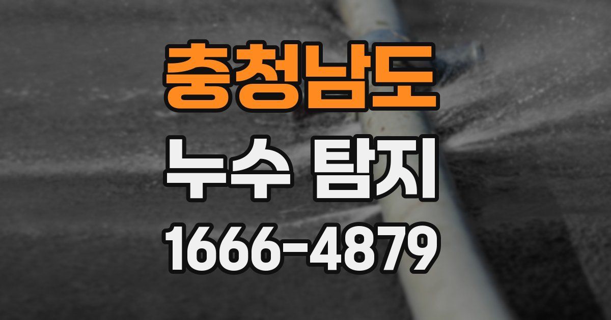 충청남도 누수 탐지