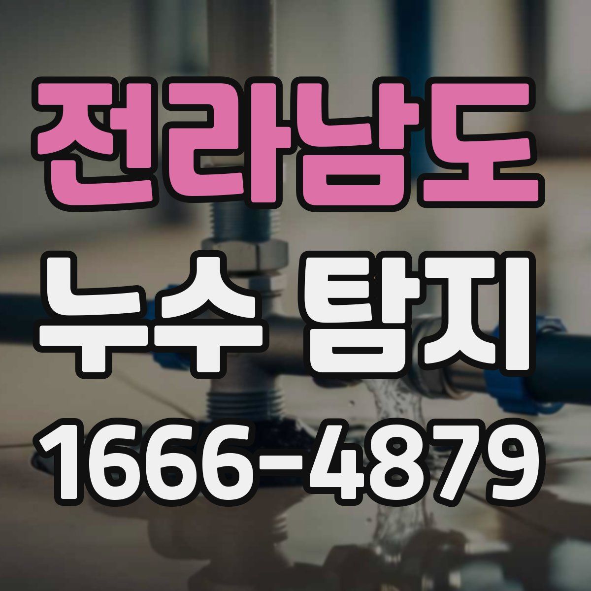 전라남도 누수 탐지