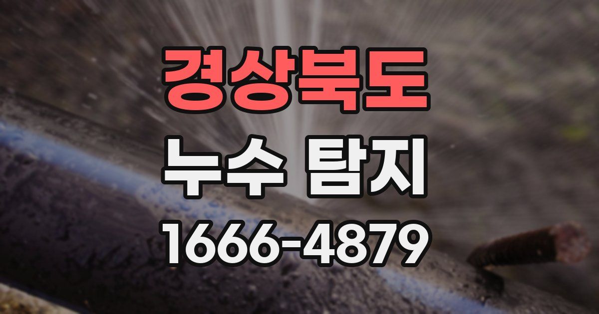 경상북도 누수 탐지