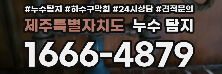 제주특별자치도 누수 탐지