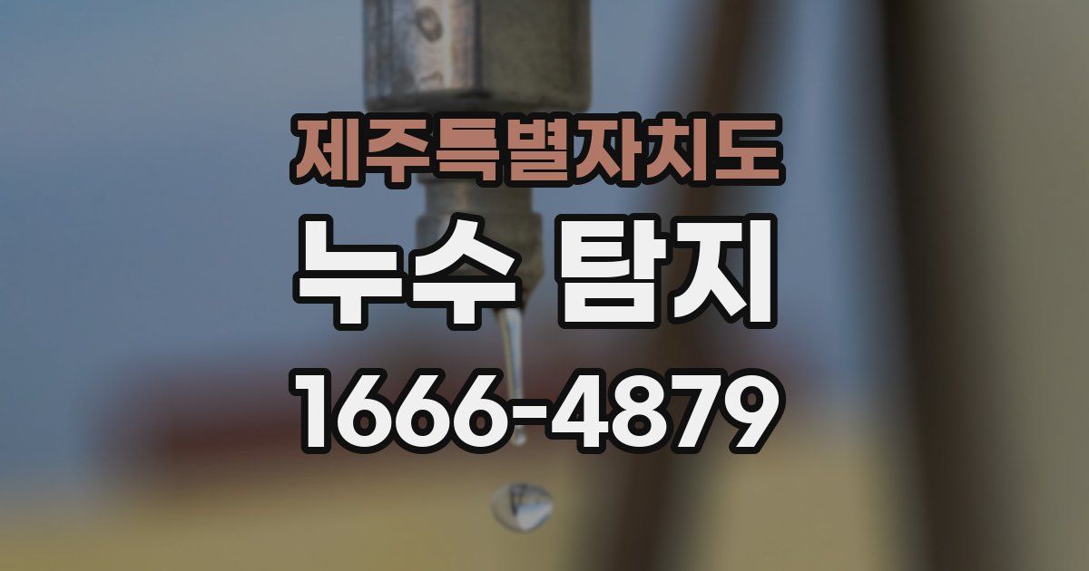제주특별자치도 누수 탐지