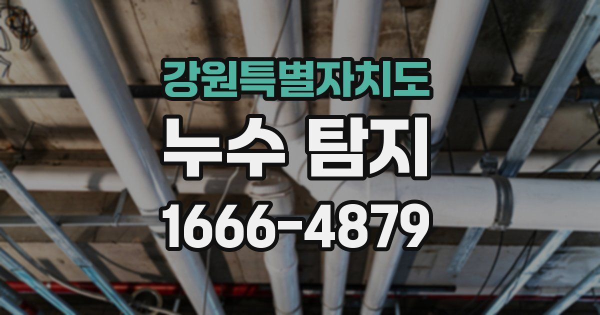 강원특별자치도 누수 탐지