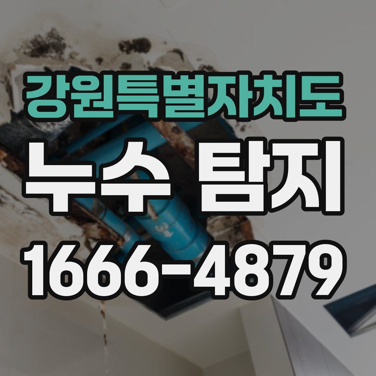 강원특별자치도 누수 탐지