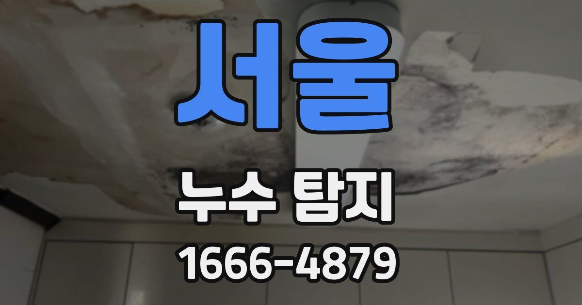서울 누수 탐지