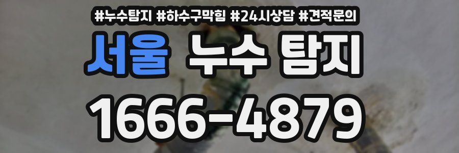 서울 누수 탐지