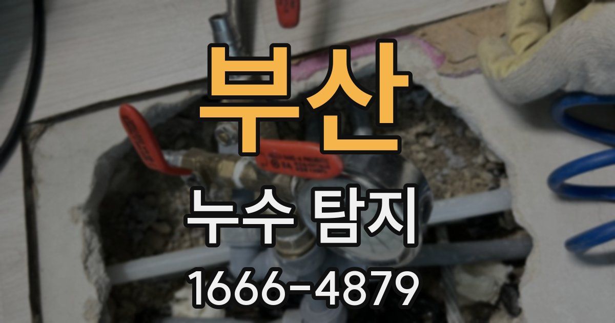 부산 누수 탐지