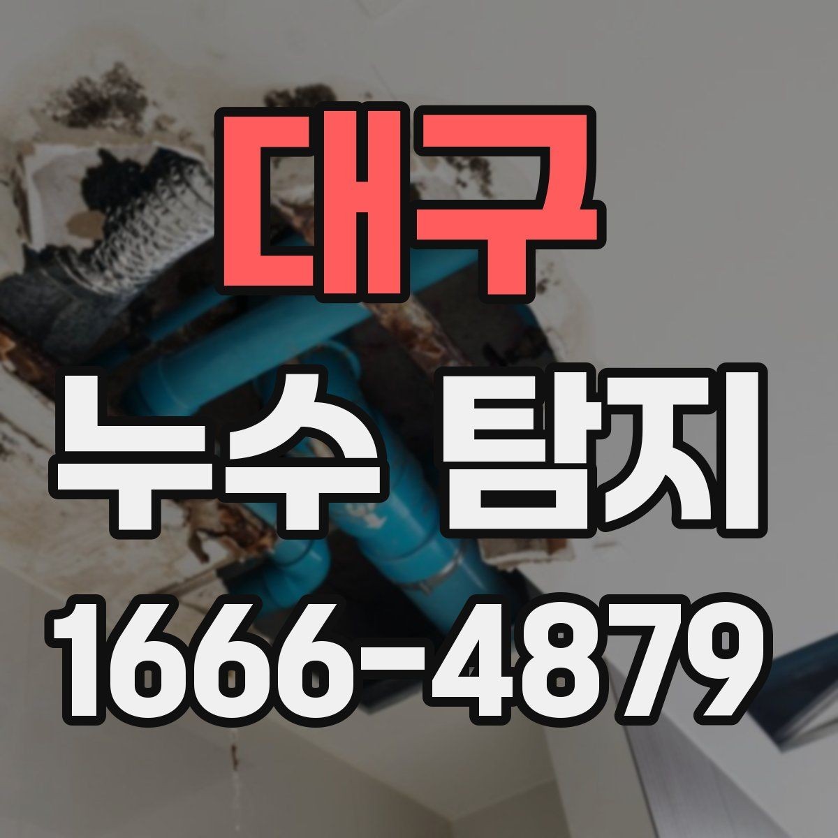 대구 누수 탐지 업체 선택 기준 정리