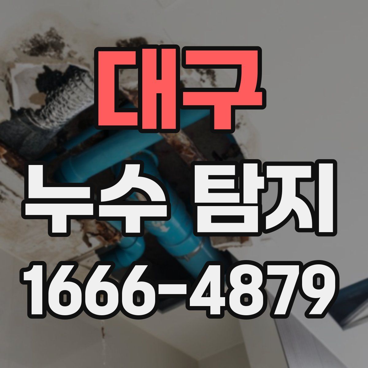 대구 누수 탐지
