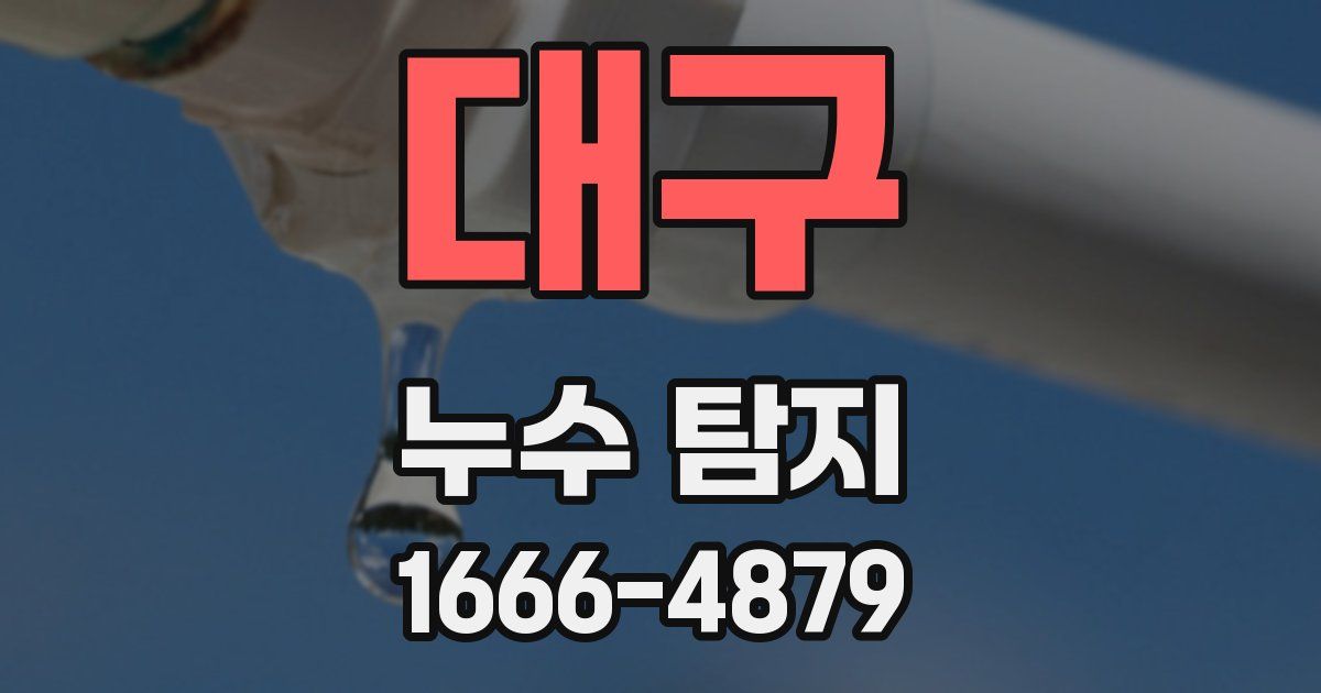 대구 누수 탐지