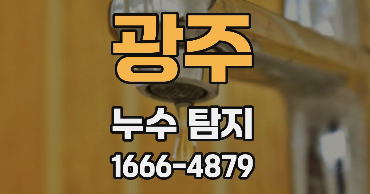 광주 누수 탐지
