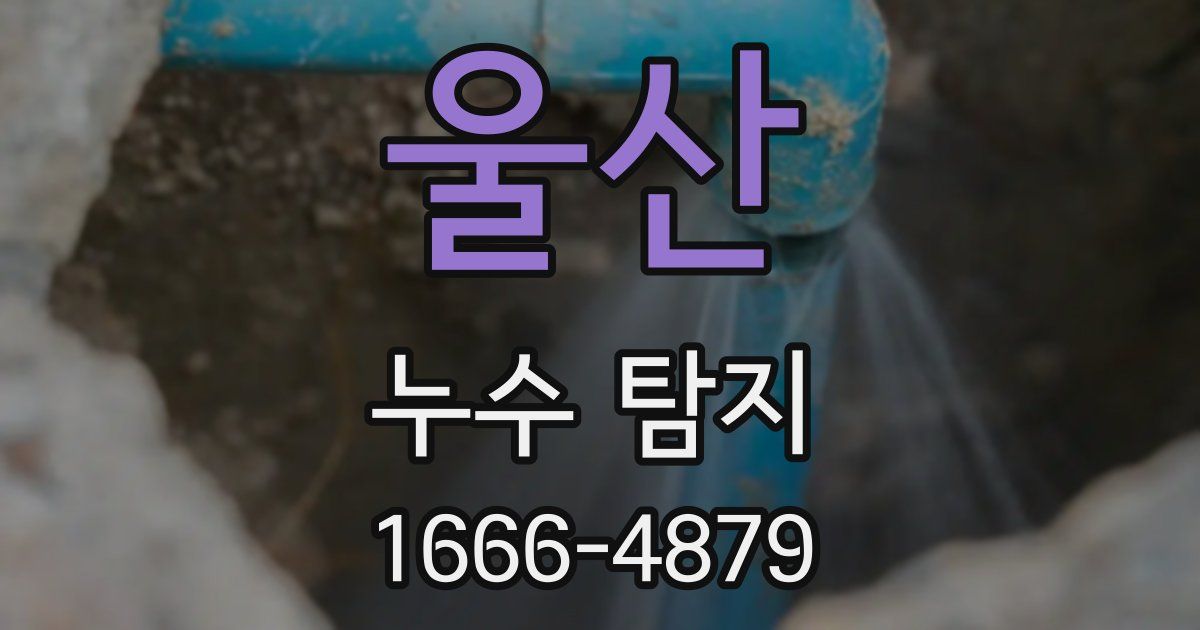 울산 누수 탐지